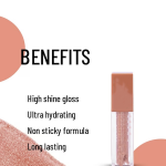 High Shine Long Lasting Lip Gloss 7 ml